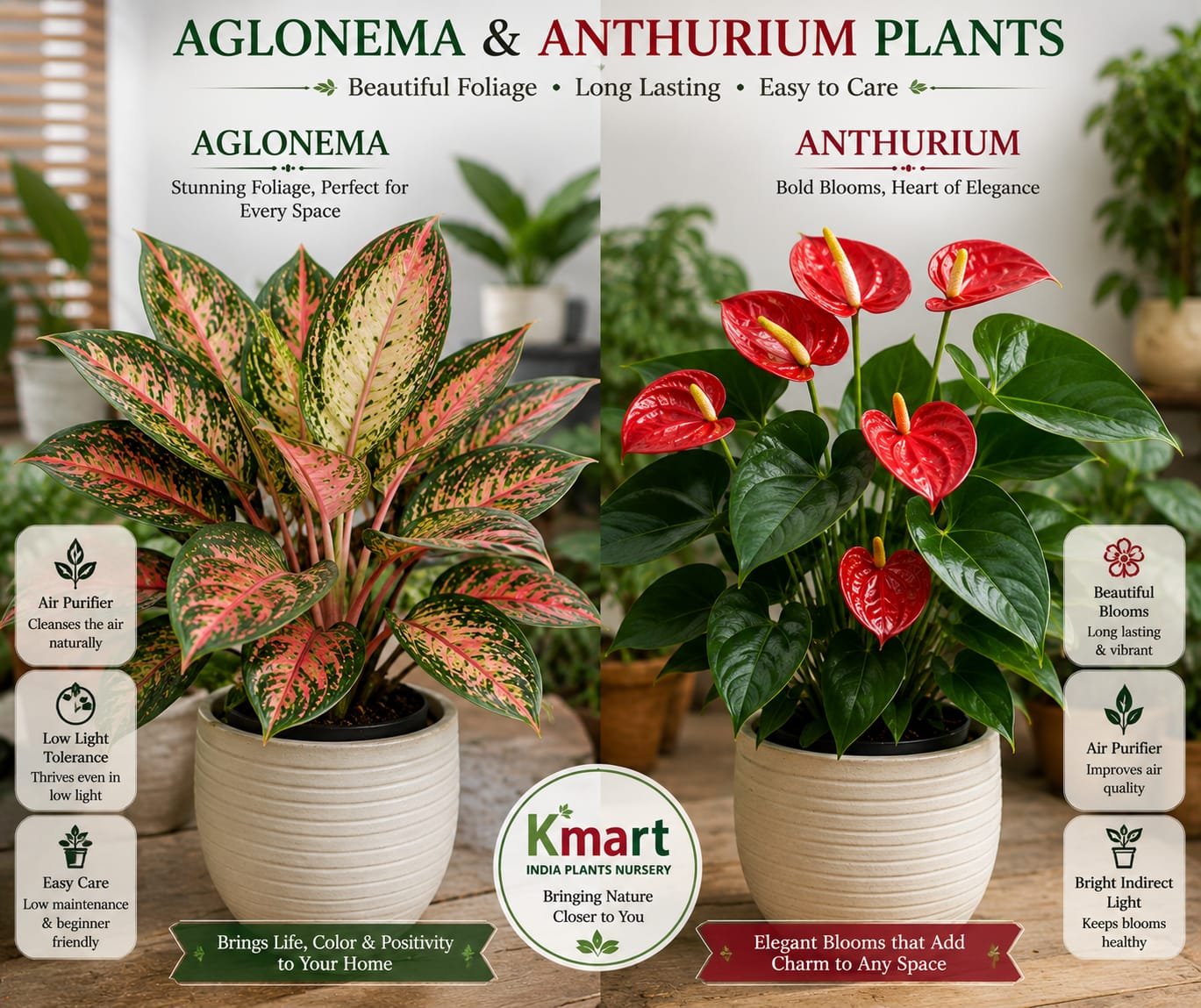 Indoor plants